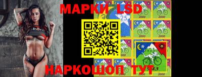 спиды Краснознаменск